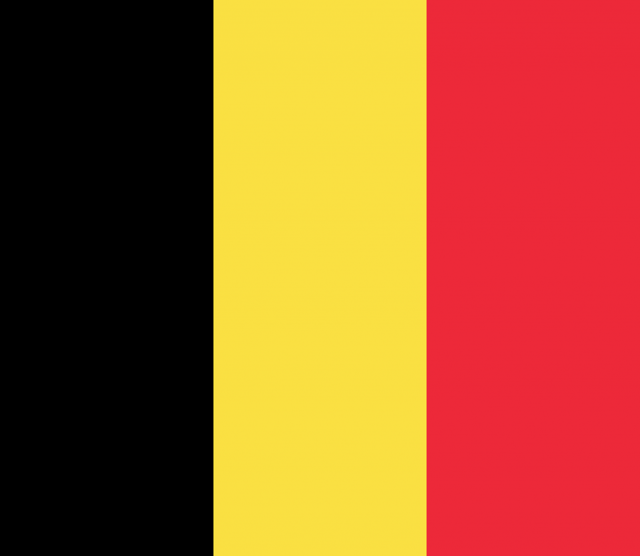 Flagge Belgien